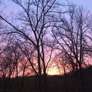 Meet your Posher, Gabe